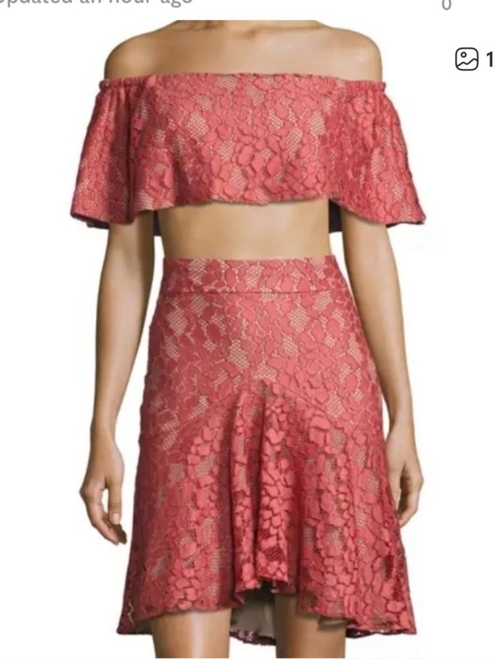 Alexis Rose Pink Lace Braxten Hi Lo Skirt M